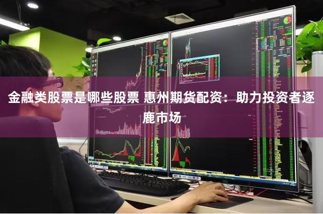 金融类股票是哪些股票 惠州期货配资：助力投资者逐鹿市场